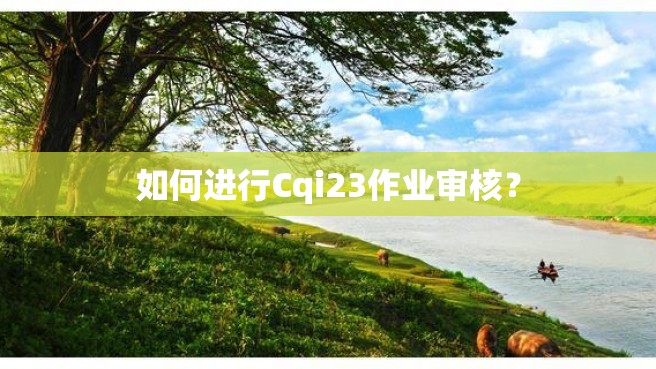 如何进行Cqi23作业审核？