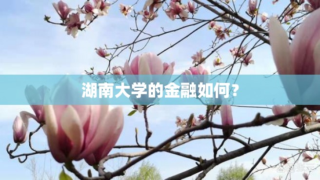 湖南大学的金融如何？