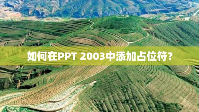 如何在PPT 2003中添加占位符？