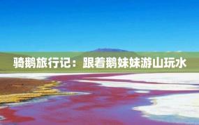 骑鹅旅行记：跟着鹅妹妹游山玩水