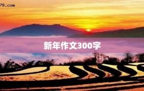 新年作文300字