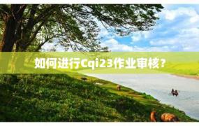 如何进行Cqi23作业审核？