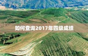 如何查询2017年四级成绩