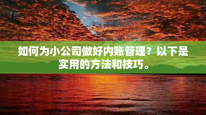 如何为小公司做好内账管理？以下是实用的方法和技巧。