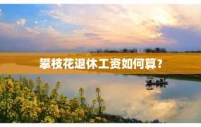 攀枝花退休工资如何算？