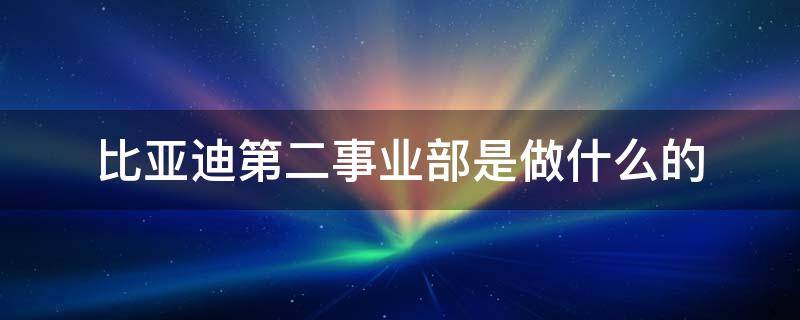 上海比亚迪第二事业部是做什么的(比亚迪第二事业部是做什么的CQD)