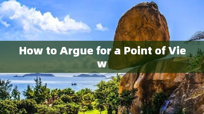 How to Argue for a Point of View