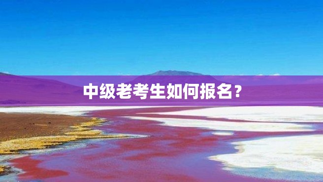 中级老考生如何报名？