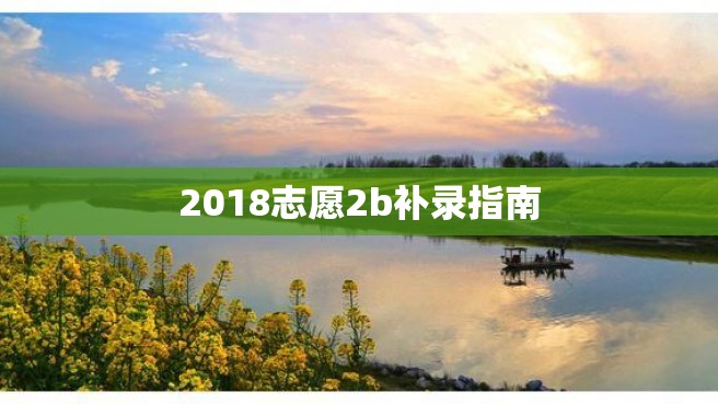 2018志愿2b补录指南