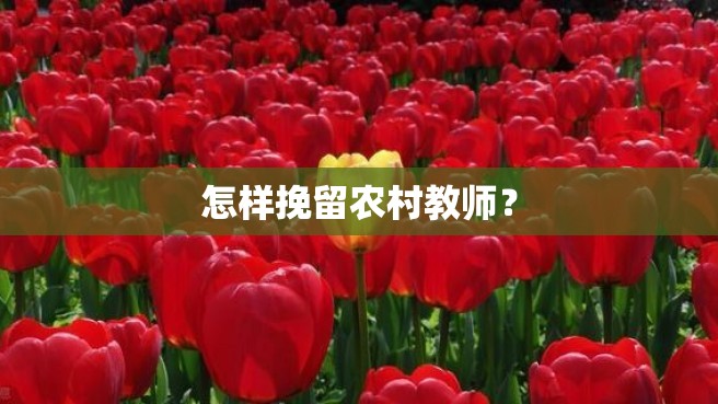 怎样挽留农村教师？