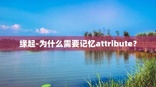 缘起-为什么需要记忆attribute？