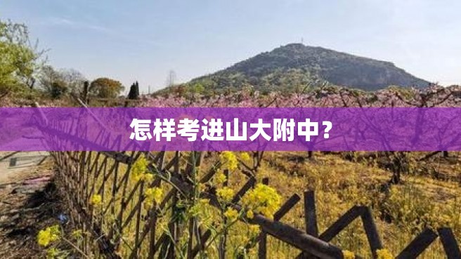 怎样考进山大附中？