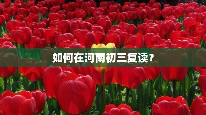 如何在河南初三复读？