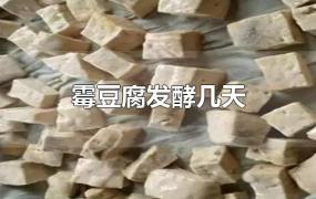 霉豆腐发酵几天长毛(霉豆腐发酵几天就可以)