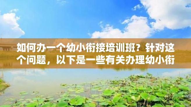 如何办一个幼小衔接培训班？针对这个问题，以下是一些有关办理幼小衔接培训班的详细信息，希望能为有需要的人提供帮助。