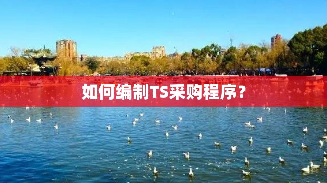 如何编制TS采购程序？