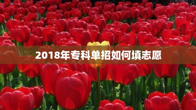 2018年专科单招如何填志愿