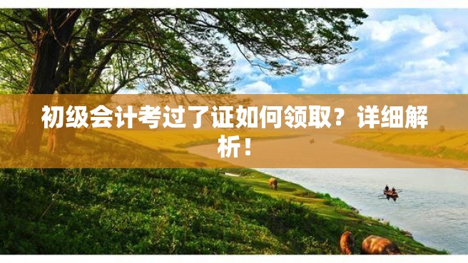 初级会计考过了证如何领取？详细解析！