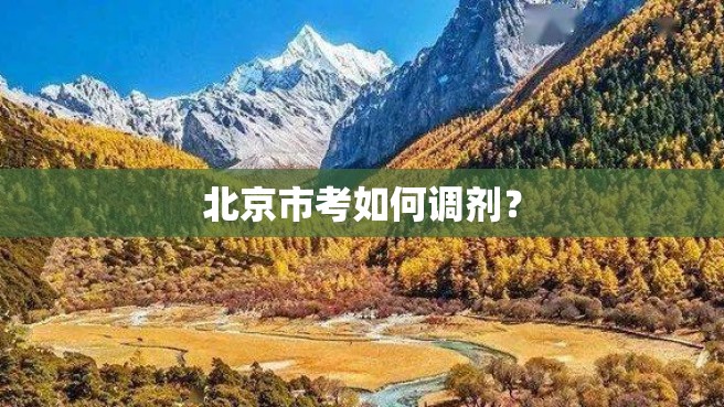 北京市考如何调剂？