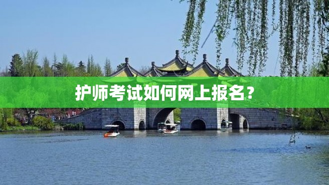 护师考试如何网上报名？