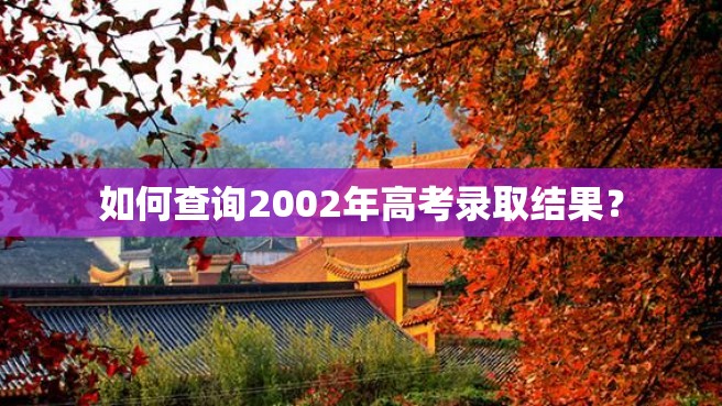 如何查询2002年高考录取结果？