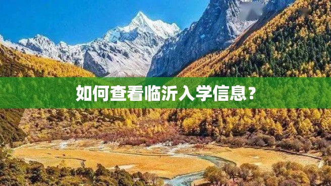 如何查看临沂入学信息？