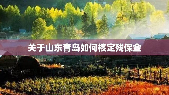 关于山东青岛如何核定残保金