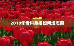 2018年专科单招如何填志愿