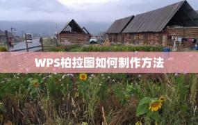 WPS柏拉图如何制作方法