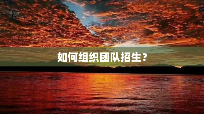 如何组织团队招生？