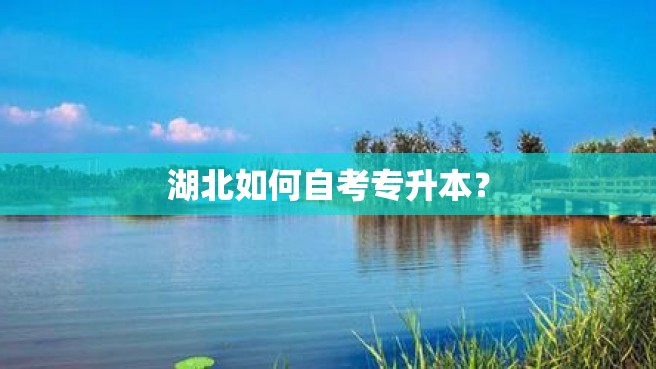 湖北如何自考专升本？