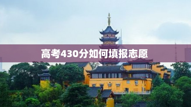 高考430分如何填报志愿 