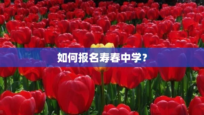 如何报名寿春中学？