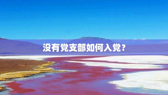 没有党支部如何入党？