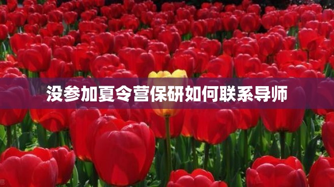 没参加夏令营保研如何联系导师