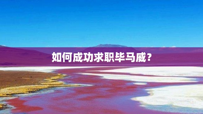 如何成功求职毕马威？