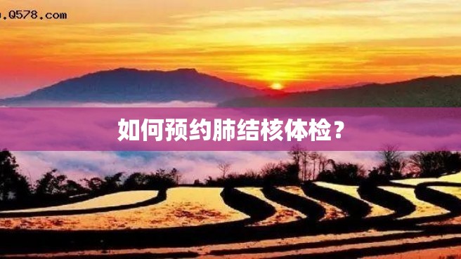 如何预约肺结核体检？