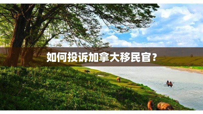 如何投诉加拿大移民官？