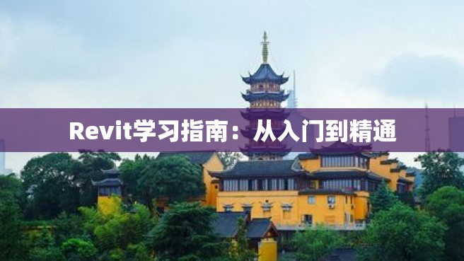 Revit学习指南：从入门到精通