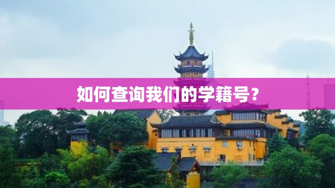 如何查询我们的学籍号？