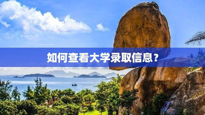 如何查看大学录取信息？