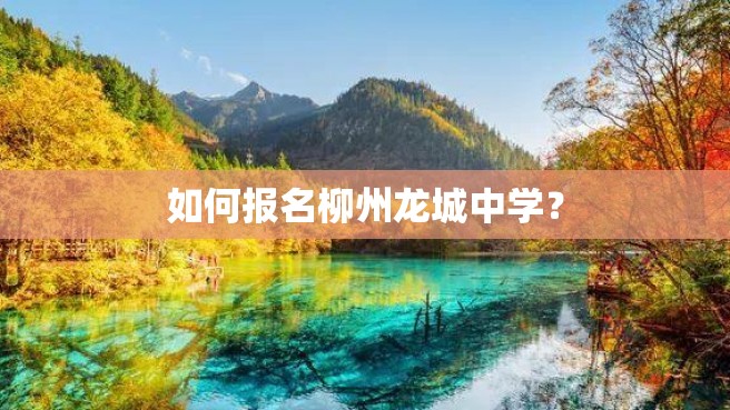 如何报名柳州龙城中学？