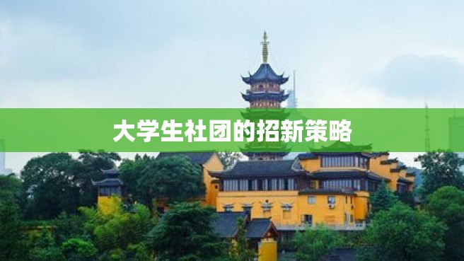 大学生社团的招新策略