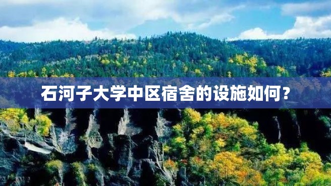 石河子大学中区宿舍的设施如何？