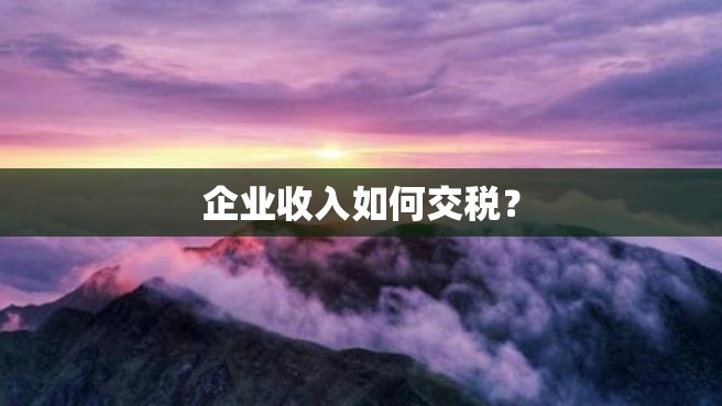 企业收入如何交税？