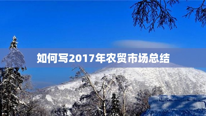 如何写2017年农贸市场总结