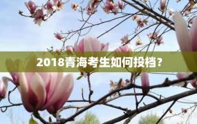 2018青海考生如何投档？