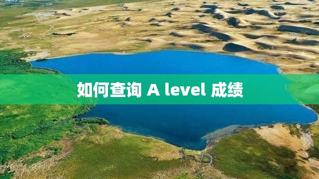 如何查询 A level 成绩