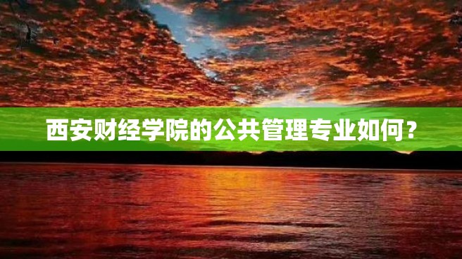 西安财经学院的公共管理专业如何？