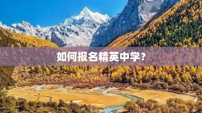 如何报名精英中学？